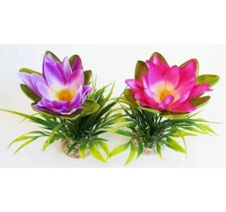 Растение Lotus Flower 18см от Sydeco, Франция