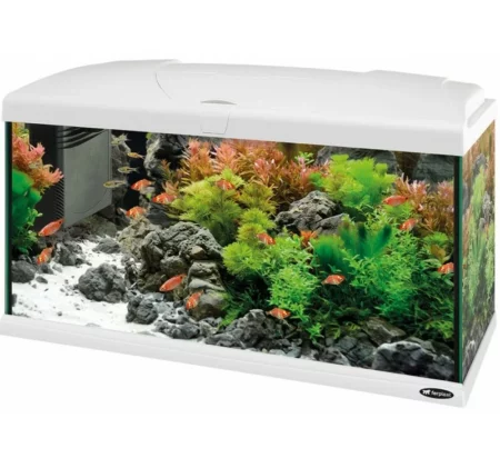 Оборудван аквариум Ferplast CAPRI 80 LED WHITE, 100 л